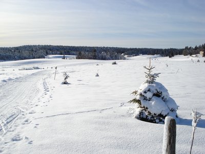 Paysages de Bellefontaine