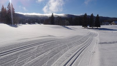 Ski de fond à Bellefontaine