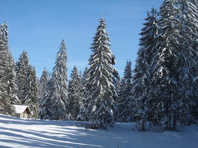 Paysages enneigés du Grandvaux