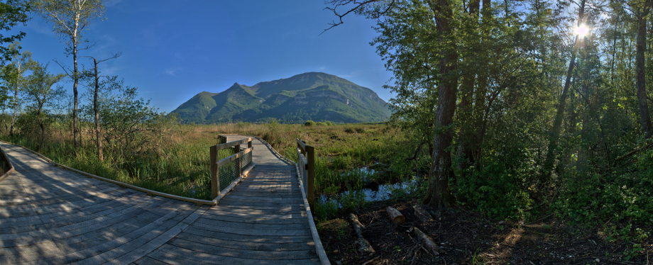 sentier sur pilotis