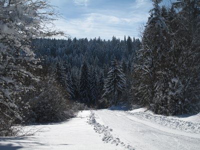 Paysages du Grandvaux