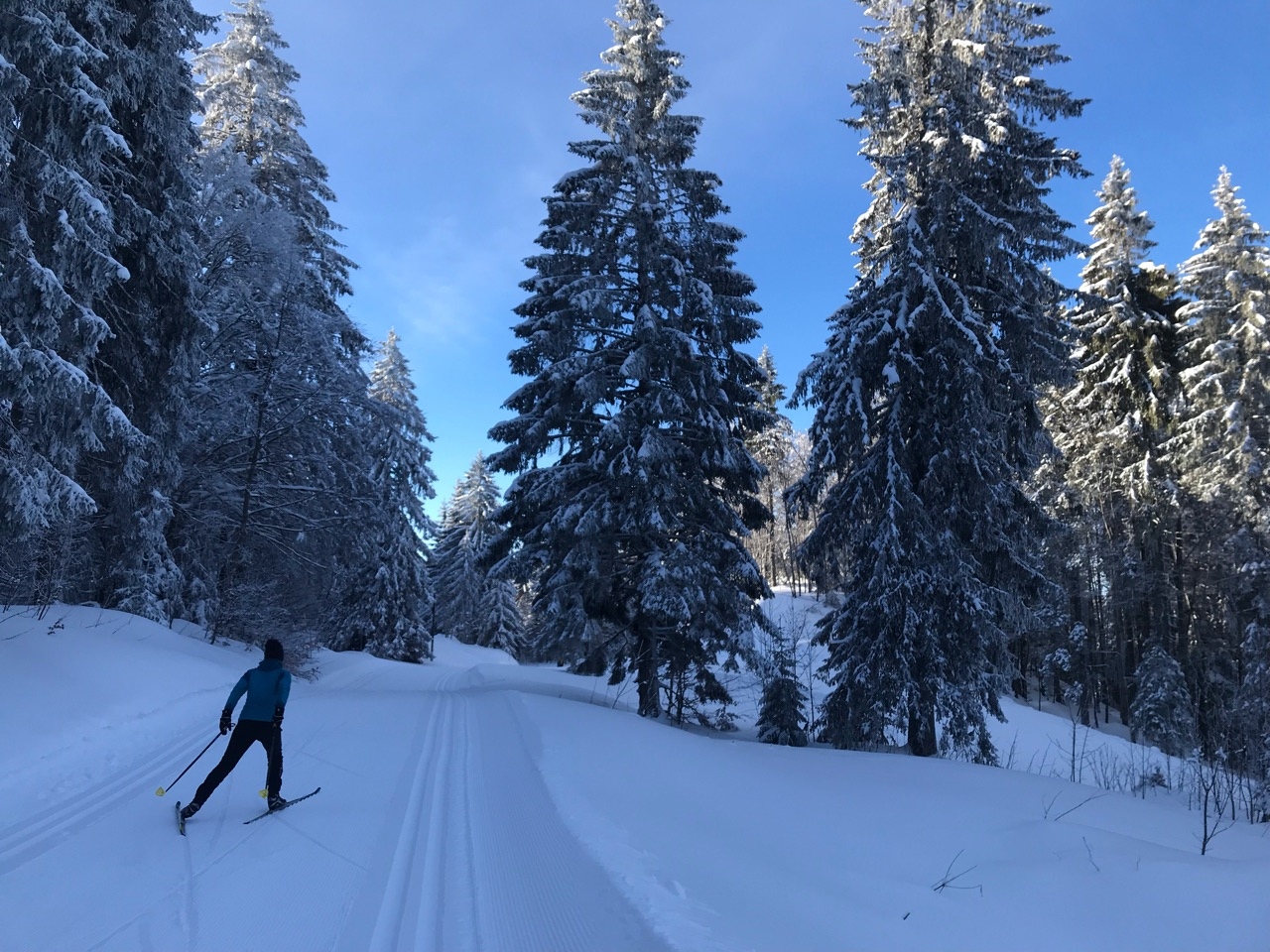 Ski de fond à La Pesse