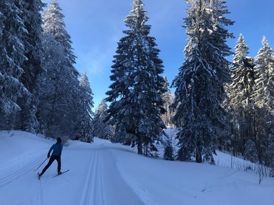 Ski de fond à La Pesse