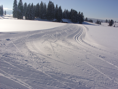 Ski de fond au Gardot