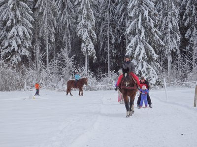 ski joering - Ferme de la Pelaisse