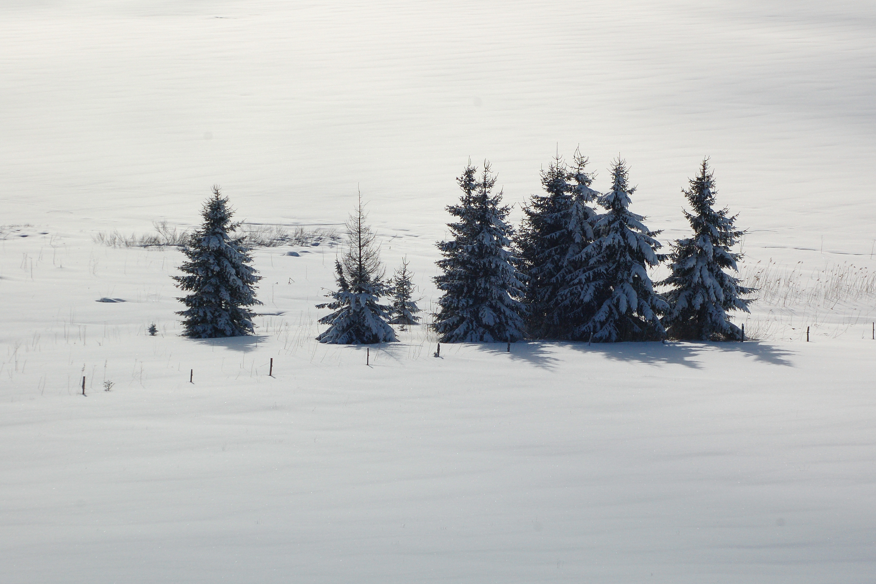 paysages montagnes du jura_Jack Carrot (28)
