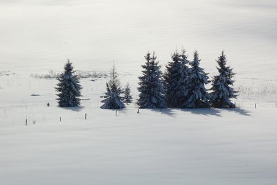 paysages montagnes du jura_Jack Carrot (28)