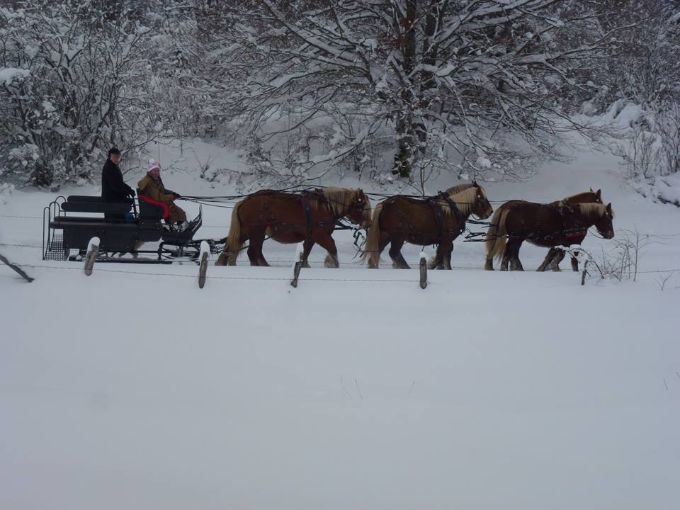 Les Attelages du Grandvaux