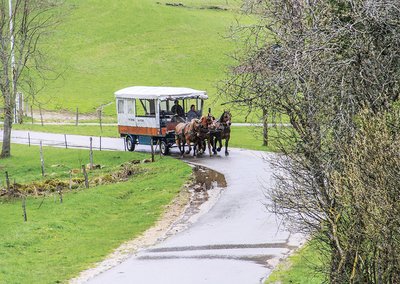 CENTRE EQUESTRE TINGUELY_1