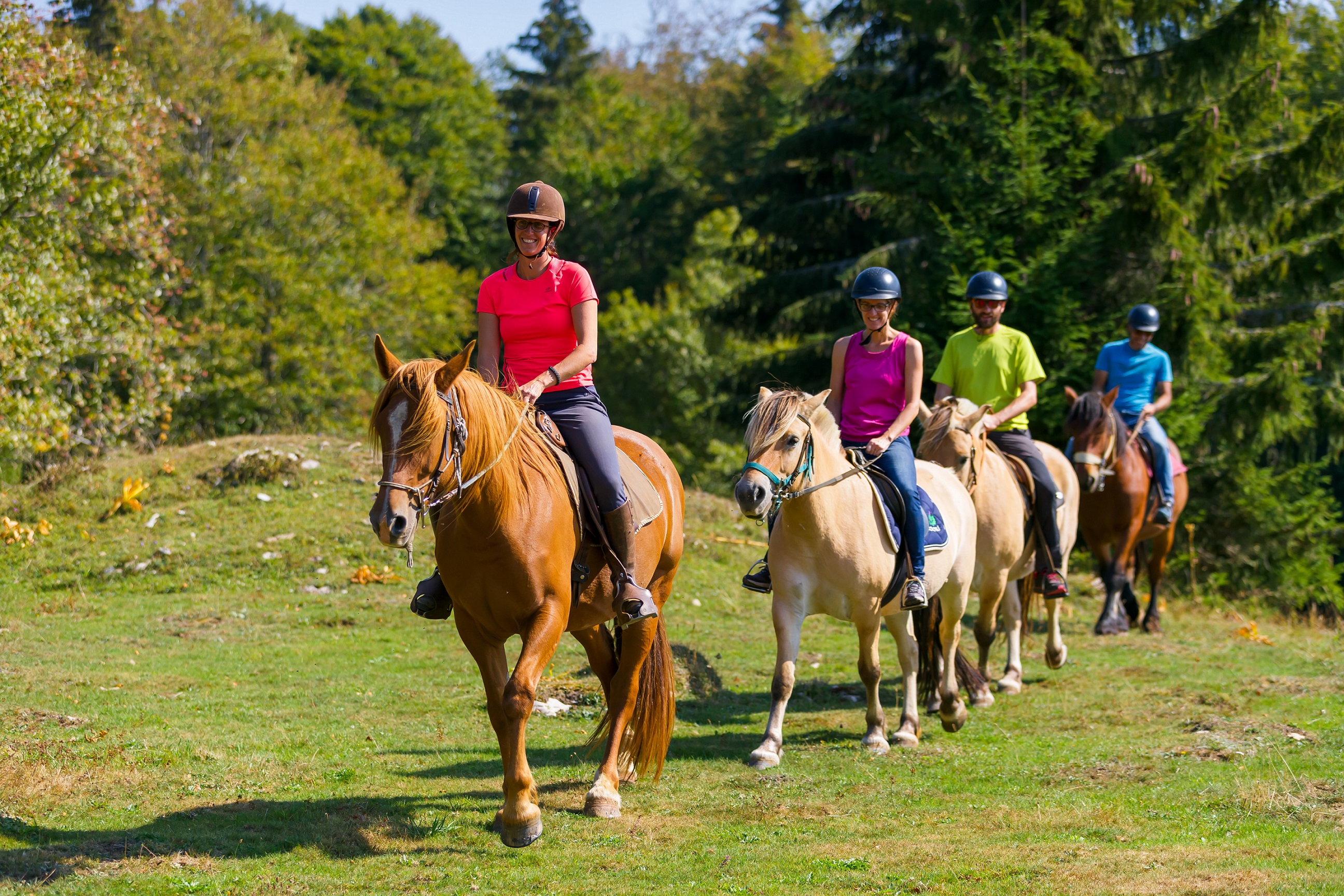 GP_Gaia Loisirs Equestres_W4