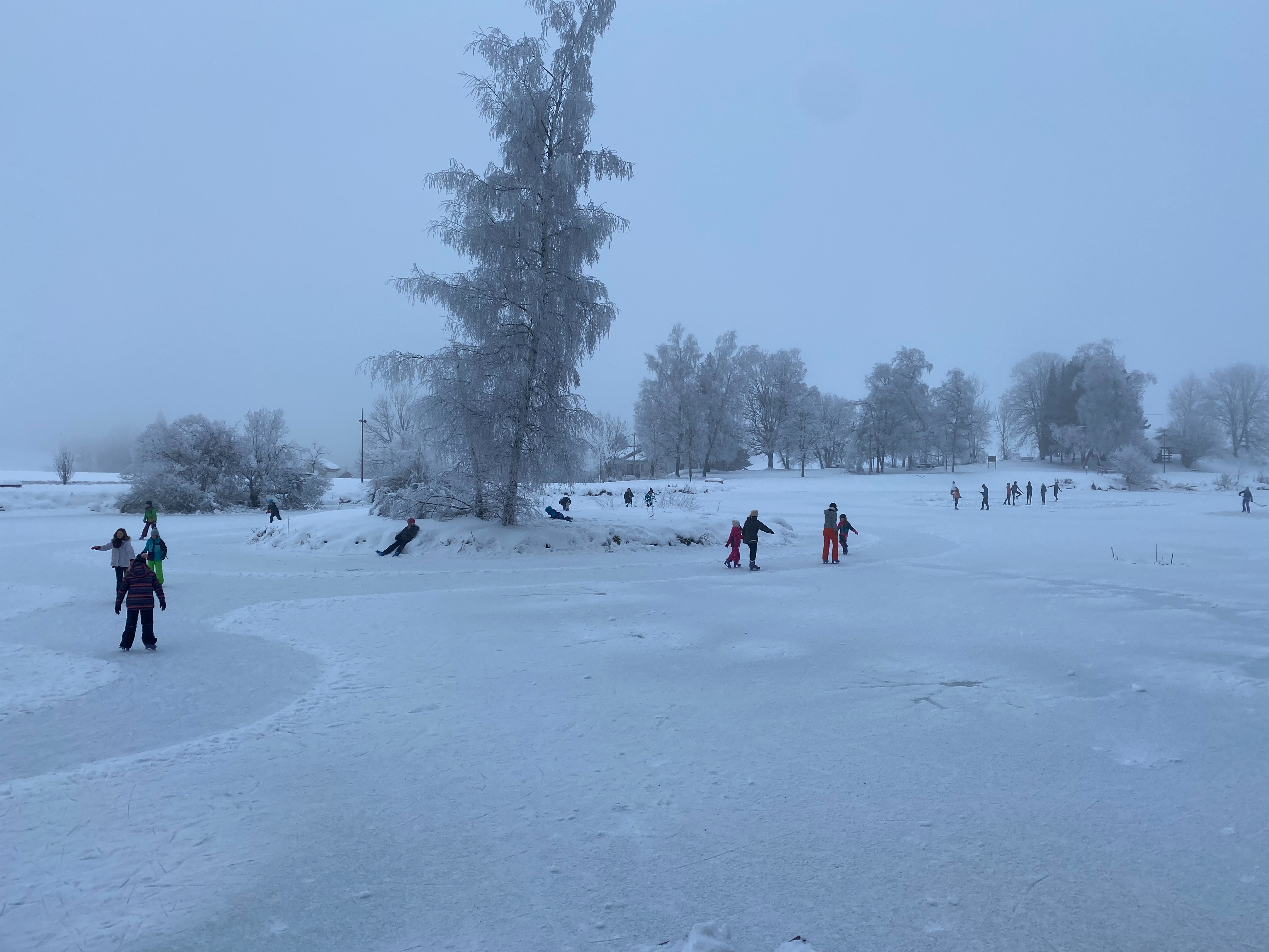 Patinage lac de Lalleyriat
