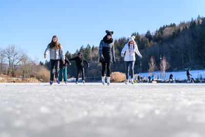 Patinage au lac de Lalleyriat