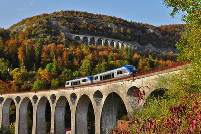 LIGNE_HIRONDELLE©JACK_CARROT
