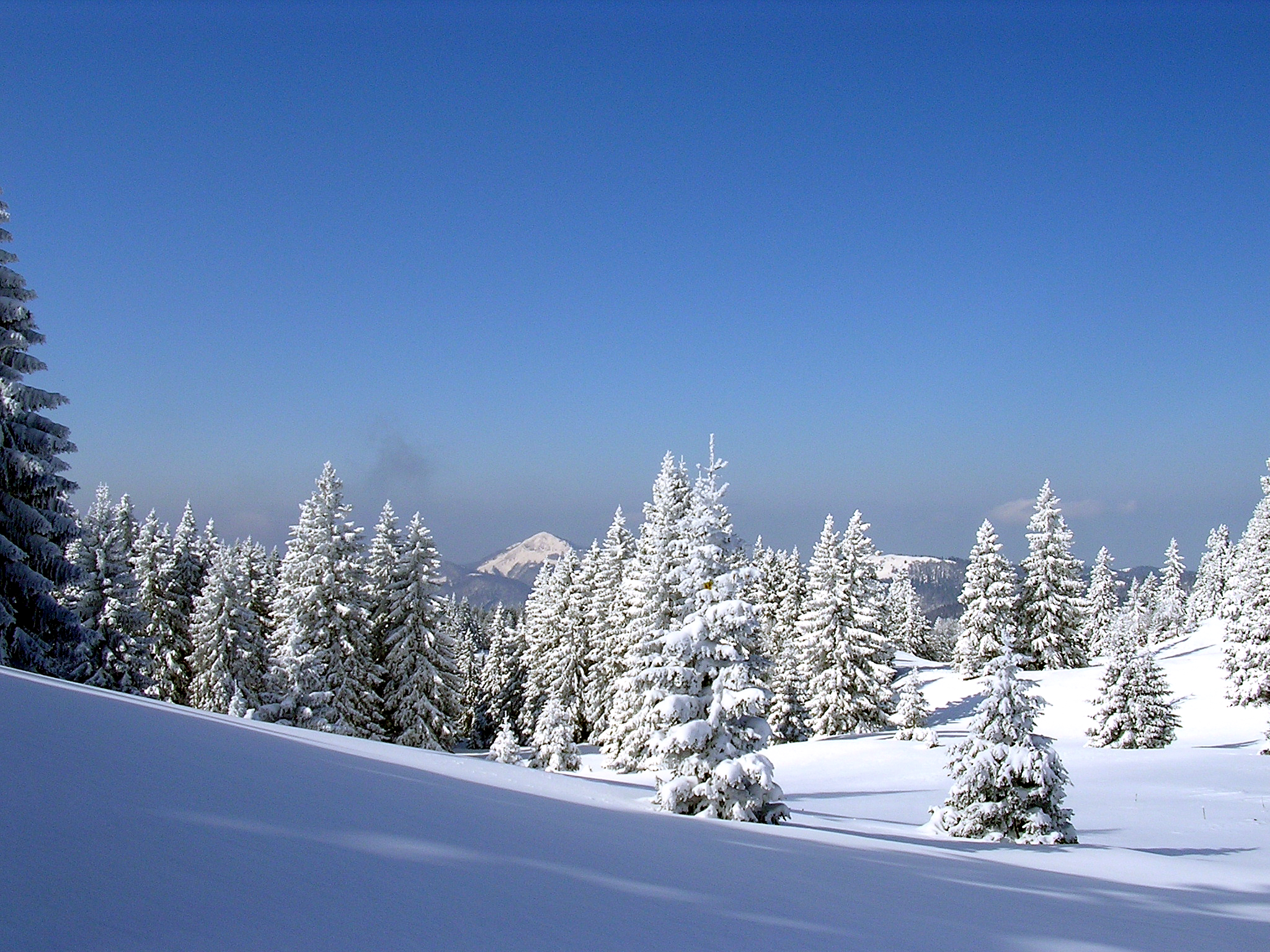 paysages montagnes du jura_Jack Carrot (5)