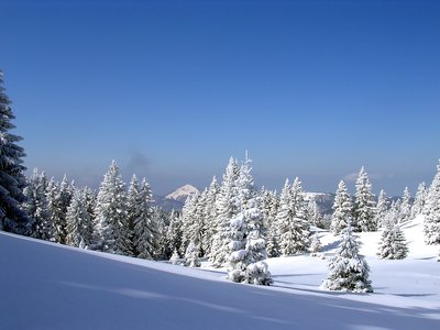 paysages montagnes du jura_Jack Carrot (5)