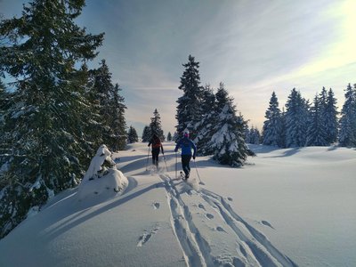 Ski de rando nordique backcountry dans les Montagnes du Jura
