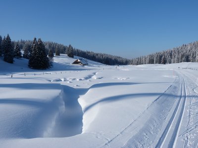 Combe du Haut Doubs
