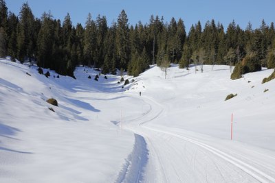 Haute Joux