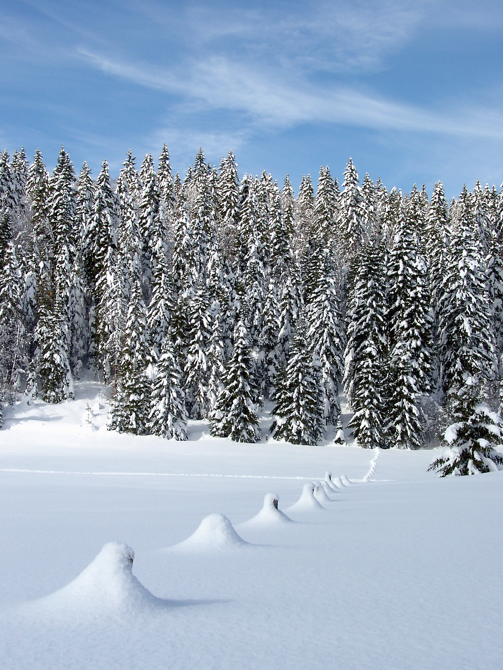 paysages montagnes du jura_Jack Carrot (3)