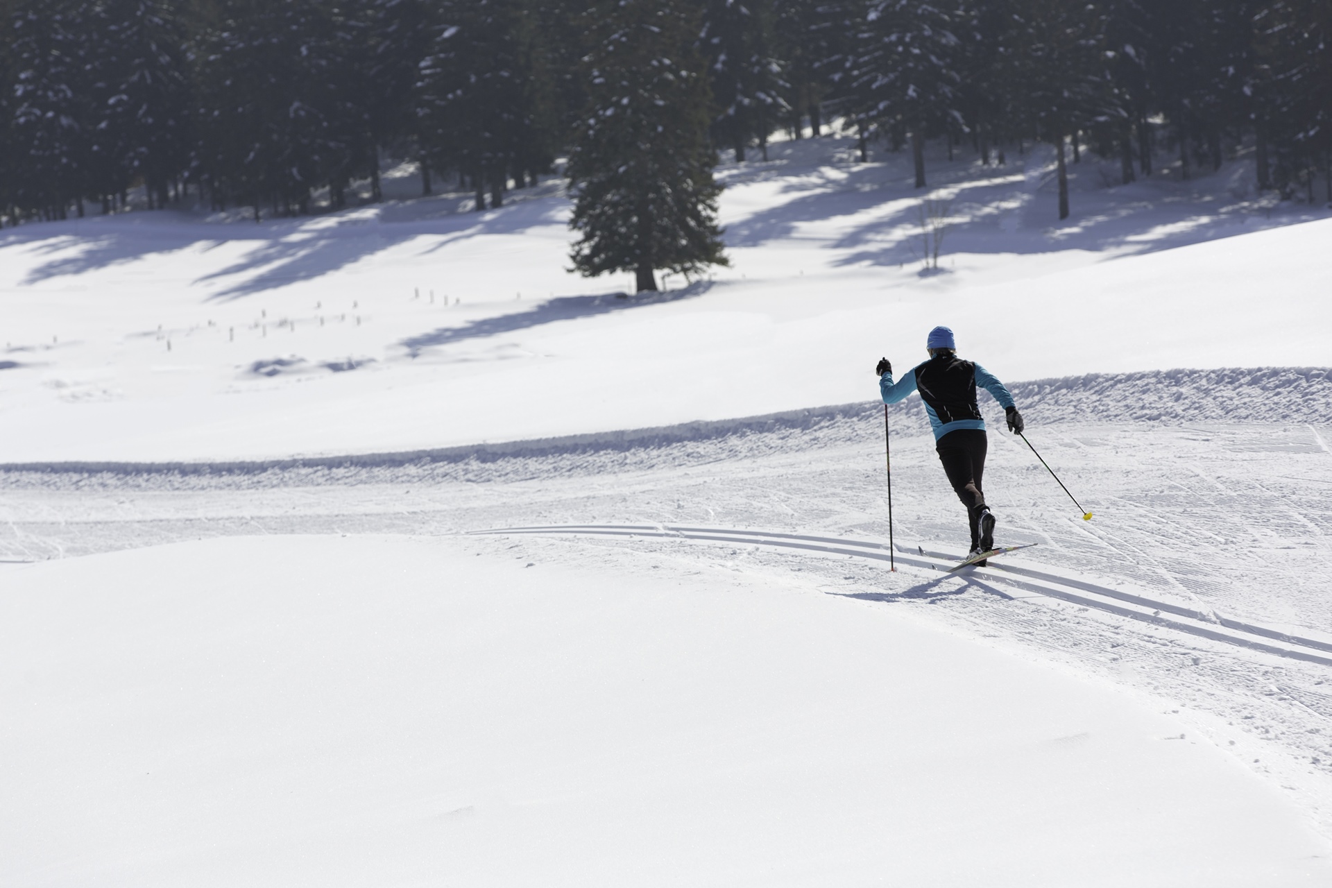 Ski de Fond dans les Montagnes du Jura