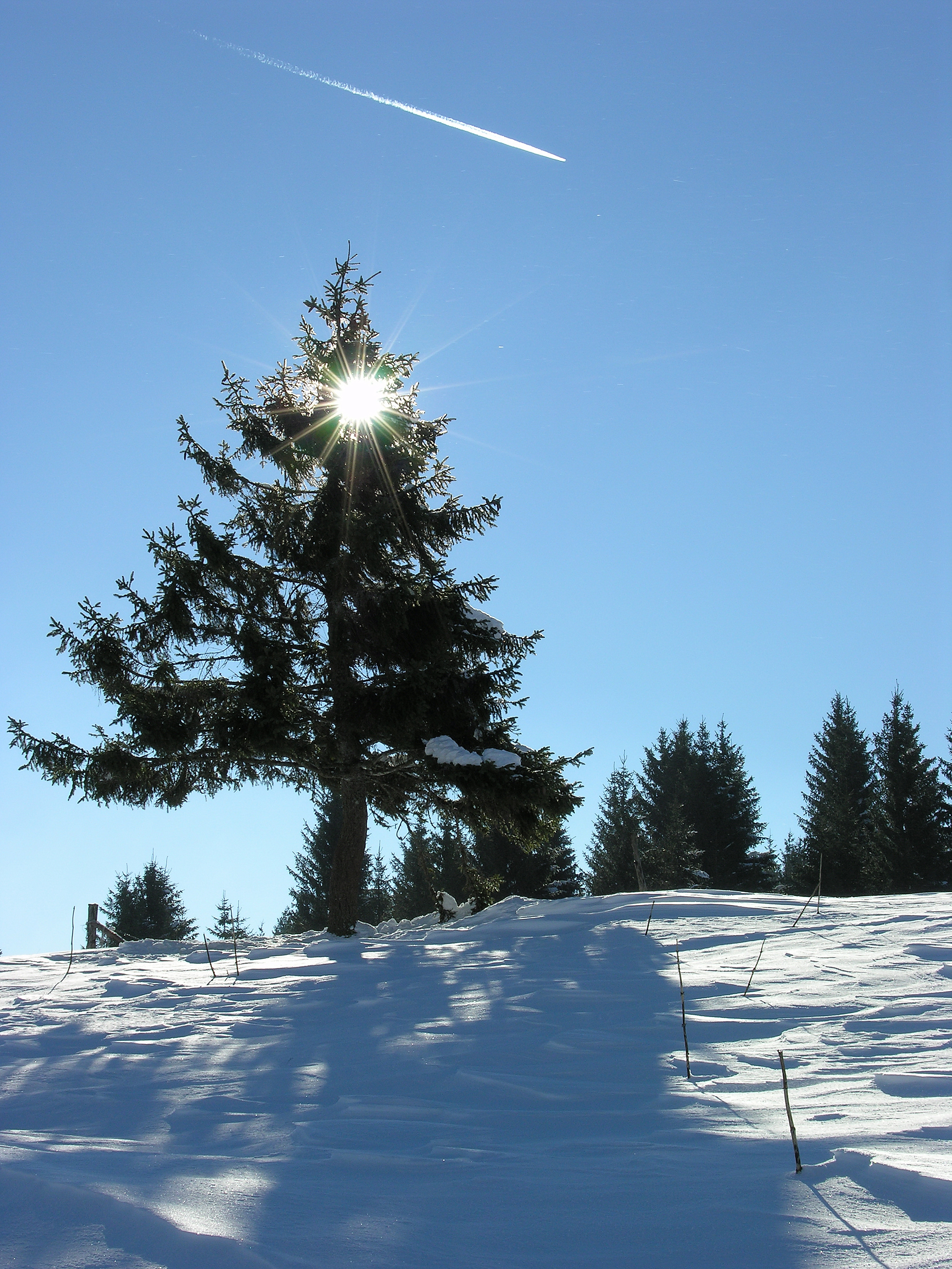 paysages montagnes du jura_Jack Carrot (10)