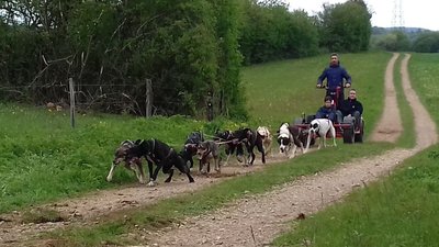 Balade en charette été