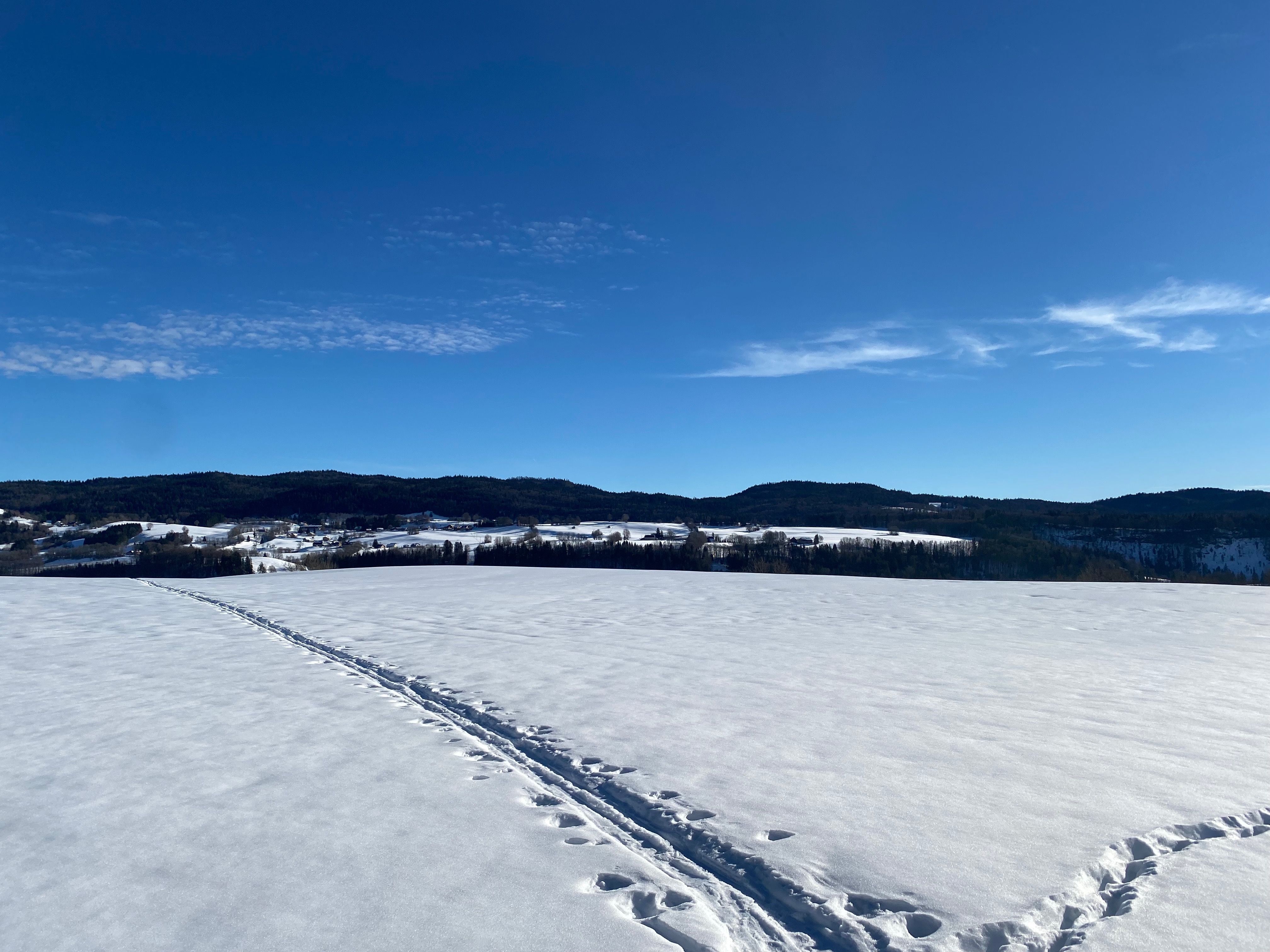 Traces dans la neige