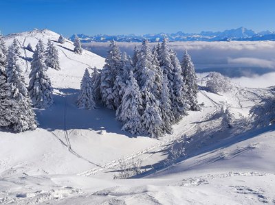 Vue sur les Alpes